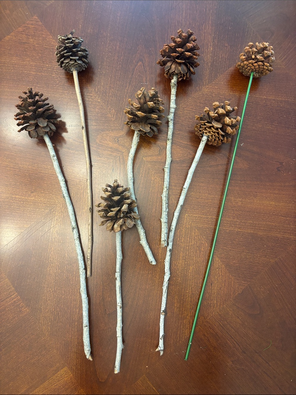 Natural Pinecone Stem Accents - Brown